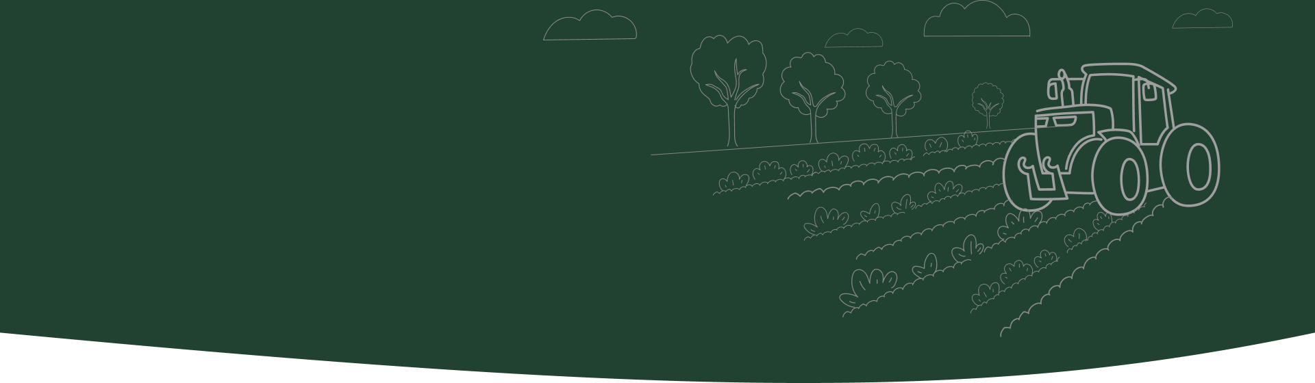 Page banner